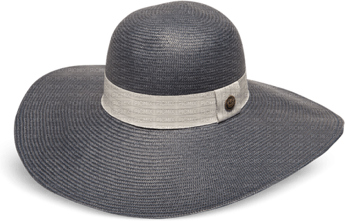 grey hat - zdarma png