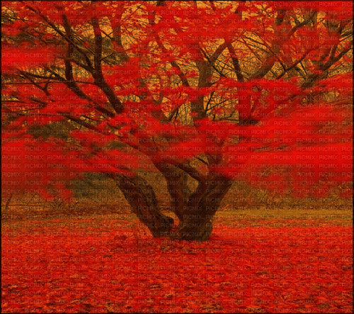 red nature background - Бесплатни анимирани ГИФ