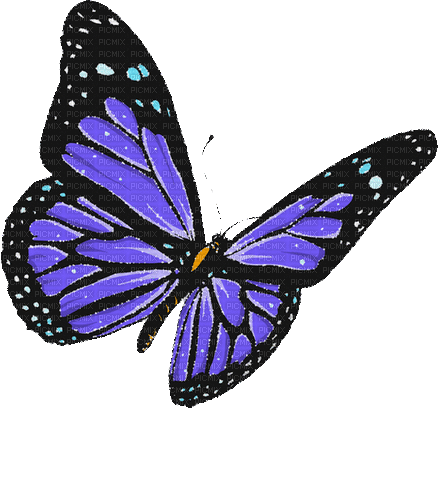 dolceluna animated butterfly spring purple - Δωρεάν κινούμενο GIF