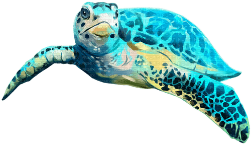 Sea Turtle.Blue - Free PNG