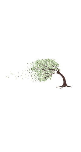 Деревья - Free PNG