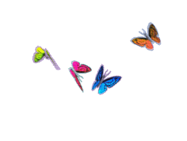 nbl-butterfly - GIF animasi gratis