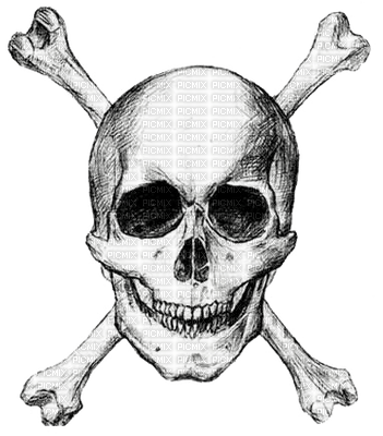 skeleton katrin - 免费PNG