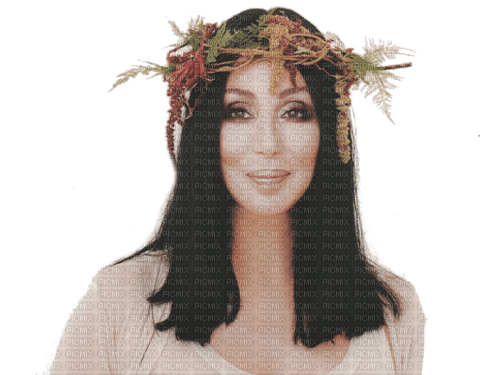 cher - δωρεάν png