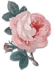 soave deco flowers rose branch vintage pink teal - фрее пнг