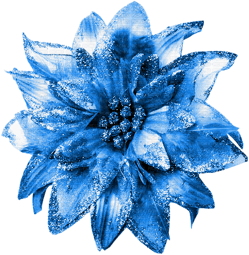 Flower.Blue - Free PNG