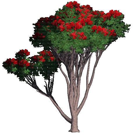 Деревья - Безплатен анимиран GIF