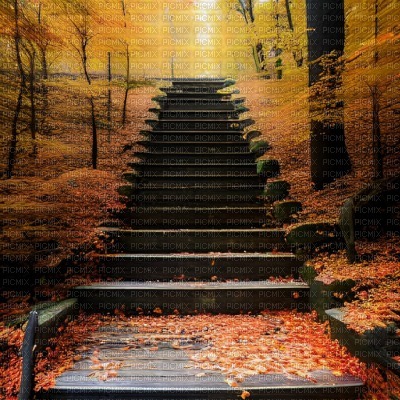Autumn Forest Staircase - besplatni png