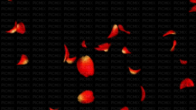 Red Petal Background - GIF animé gratuit