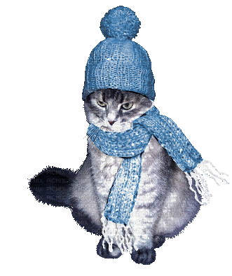 cat katze winter milla1959 - 免费动画 GIF