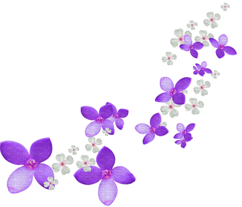 Flower.White.Purple - ilmainen png