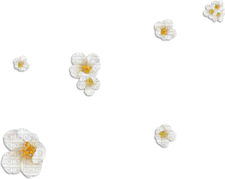 soave deco flowers scrap spring summer white - PNG gratuit