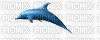 dolphin - GIF animado gratis