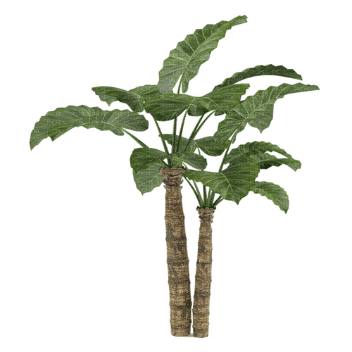 kikkapink tropical plant summer deco - δωρεάν png