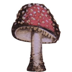 Mushroom - nemokama png
