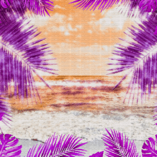MA /BG.anim.summer.tropical.orange.purple.idca - Бесплатный анимированный гифка