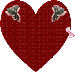 coeur hirondelle - Darmowy animowany GIF