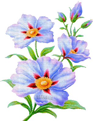 Y.A.M._Summer flowers - Бесплатни анимирани ГИФ