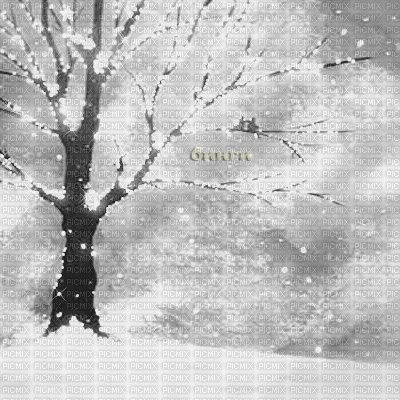 Y.A.M._Winter background black-white - GIF animé gratuit
