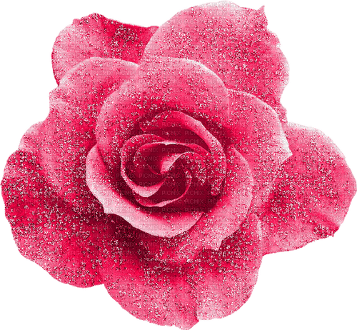 Glitter.Rose.Pink - бесплатно png