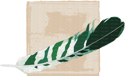 feather - kostenlos png