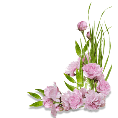 minou   pink flower corner - PNG gratuit