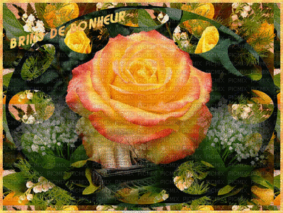 fleurs - Ingyenes animált GIF