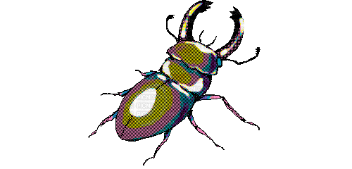 dancing beetle - Bezmaksas animēts GIF