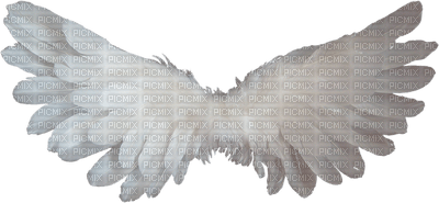 siivet asuste the wings accessories - zadarmo png