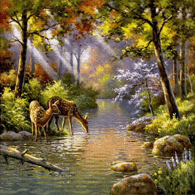 fondo bosque rio ciervos gif  dubravka4 - Бесплатный анимированный гифка