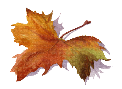 otoño - δωρεάν png