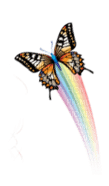papillon - nemokama png