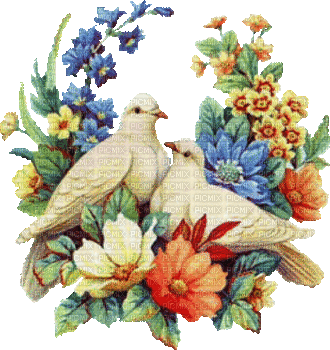 doves love flowers gif - Free animated GIF