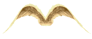 ani----vingar-----wings - GIF animate gratis