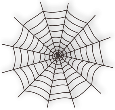 spider webs - zdarma png