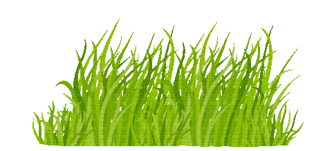 Gras - Besplatni animirani GIF