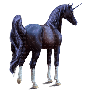 unicorn - darmowe png
