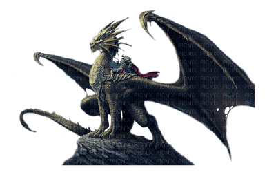 dragon nataliplus - PNG gratuit