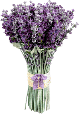 Kaz_Creations Deco Flowers Flower Colours Plant Vase - Free PNG