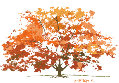Autumn - ilmainen png