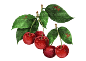 frukt-körsbär - δωρεάν png