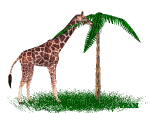 giraffe - GIF animado gratis