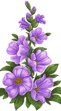 purple flowers - zadarmo png