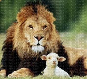 The Lion and the Lamb bp - kostenlos png