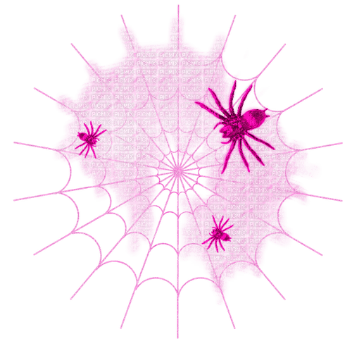 Spiders.Web.Pink - zdarma png