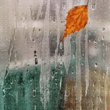 fall - Zdarma animovaný GIF