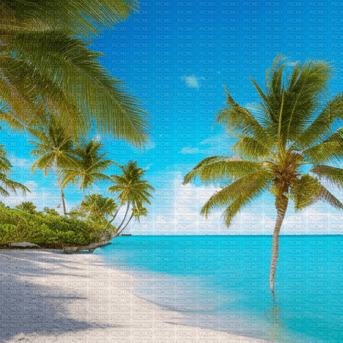 tropical beach background fond sunshine3 - PNG gratuit