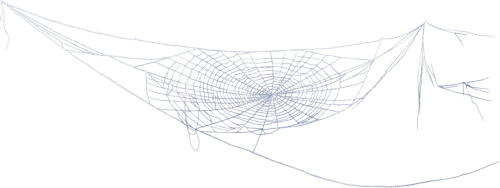 spiderweb - ilmainen png