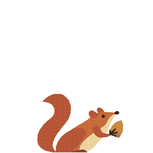 Squirrel - Animovaný GIF zadarmo