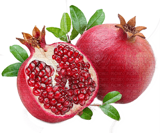 pomegranate fruit bp - 無料png